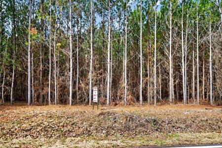 Lot 1A1 LOWER HARMONY ROAD