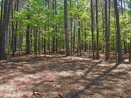 1060 PLANTERS LANE Lot 86