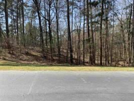 1081 SCULL SHOALS DRIVE Lot 9