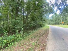 0 E BLUE BRANCH ROAD Lot 112