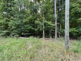 0 SHELL CRACKER COURT Lot 65