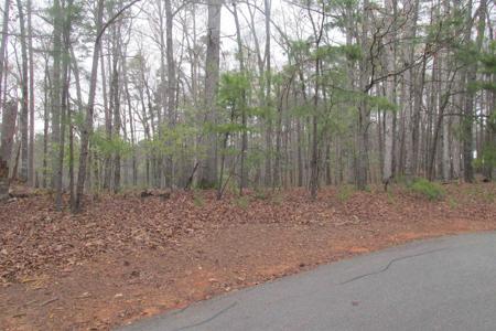 1000 KAKIE PLACE Lot 38