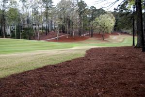 105 ALTAMA COURT Lot 128