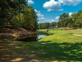 1051 BIG WATER CIRCLE Lot 6