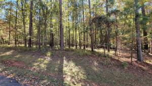 1011 CHARLES COURT Lot 91