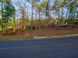 1040 SCULL SHOALS DRIVE Lot 20