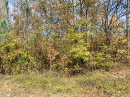 246 LITTLE RIVER TRAIL Lot /