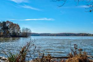 1230 QUAIL TRAIL Lot 12-15