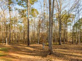 Lot 209 SUNFISH TRAIL