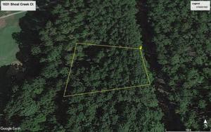 1031 SHOAL CREEK COURT Lot 1064