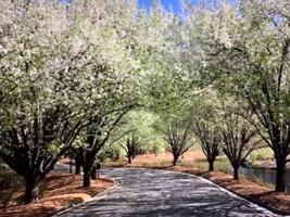 1440 LIGHTHOUSE CIRCLE Lot N/A