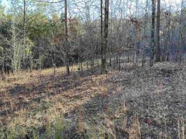 Lot 38 LONG SHOALS AVENUE