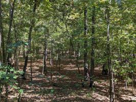 0 N SUGAR CREEK ROAD Lot 2