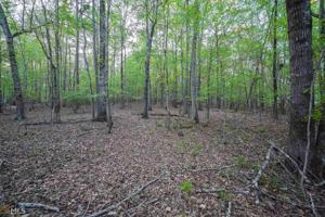 Lot 14 SUGAR CREEK TRAIL