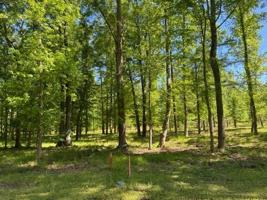 0 PARKS FERRY DR Lot 66