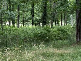 Lot 24 BROADLANDS DRIVE