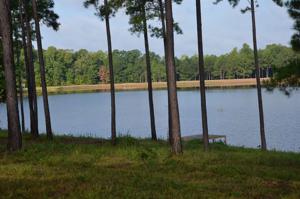 152 OVERLOOK DRIVE