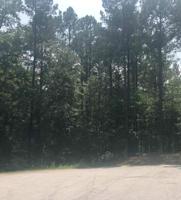 0 TANNER TRACE Lot 11