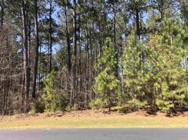 1041 BIG WATER POINT Lot 44