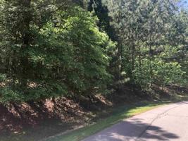 1390 SNUG HARBOR DRIVE Lot 30