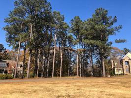 0 HAWKS RIDGE Lot 22