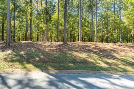 1050 AKERS KNOLL Lot 31