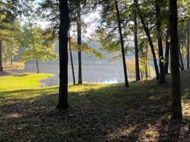 1190 BENNETT SPRINGS DRIVE Lot 2
