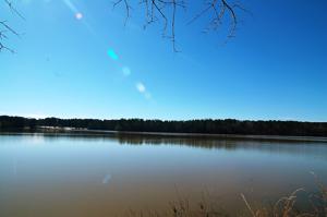 1110 FOREST HEIGHTS Lot 3