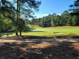 1261 PARROTT TRACE Lot 62