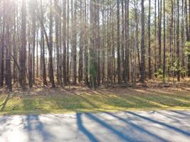 2050 FLEMINGS KNOLL Lot 125