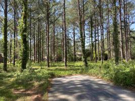 104 CURRITUCK LANE Lot 26