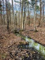 0 REIDS FERRY ROAD Lot Tract 4
