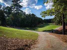 1011 HARDWOOD HOLLOW Lot 30