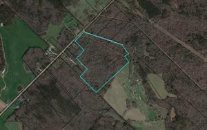 70.817 Ac COPELAN FARM ROAD Lot 3