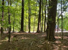 1490 SNUG HARBOR DRIVE Lot 23