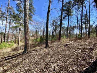 1040 GLEN EAGLE DRIVE Lot 54