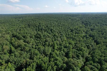 132.74 +/- AC APALACHEE WOODS TRAIL Lot NA
