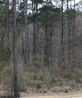 298 Eagles Way Lot 10