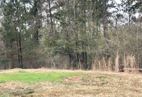 346 Eagles Way Lot 12