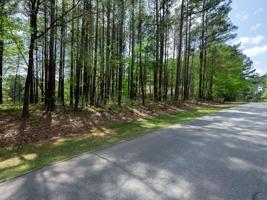 1070 GOLF VIEW LANE Lot 45