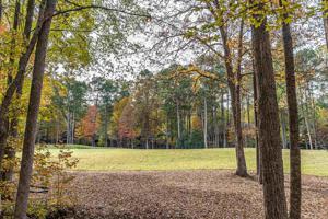 1040 HATTIES VIEW Lot 9