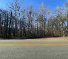 0 S. STEEL BRIDGE ROAD Lot 141-3