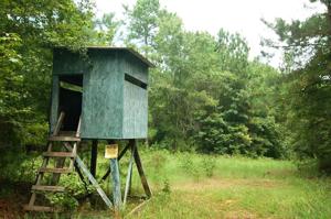 Lot 13 BAGLEY ROAD