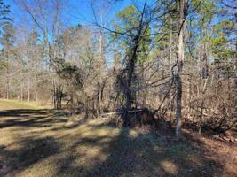 00 PINE KNOLL LANE Lot 258