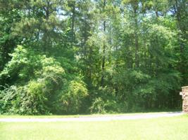 Lot 6 LONG SHOALS AVENUE