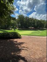 1151 SCULL SHOALS DRIVE Lot 16