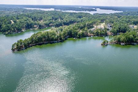1080 NEARY RIDGE Lot 214