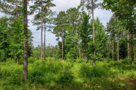 165 OVERLOOK DRIVE Lot 9