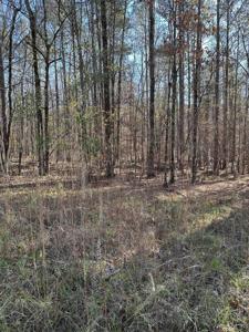 Lot 44 APALACHEE WOODS TRAIL