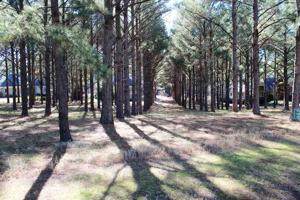 105 AHAYA DRIVE Lot 3
